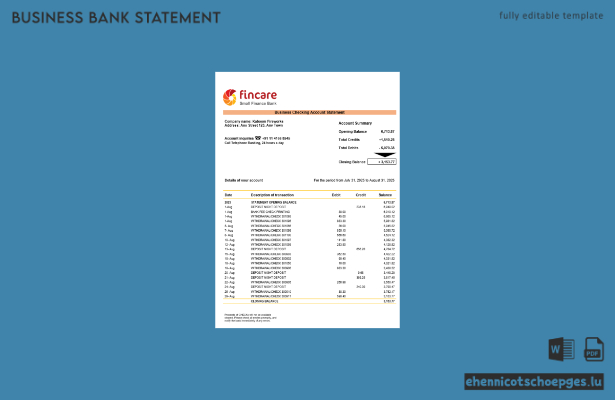 Fincare-Geschäftskontoauszug (Beispiel im Word- und PDF-Format)